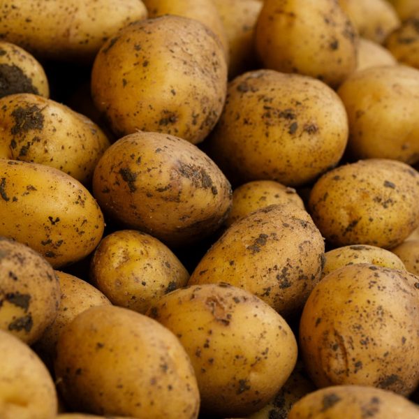 actagob-potatoes-closeup