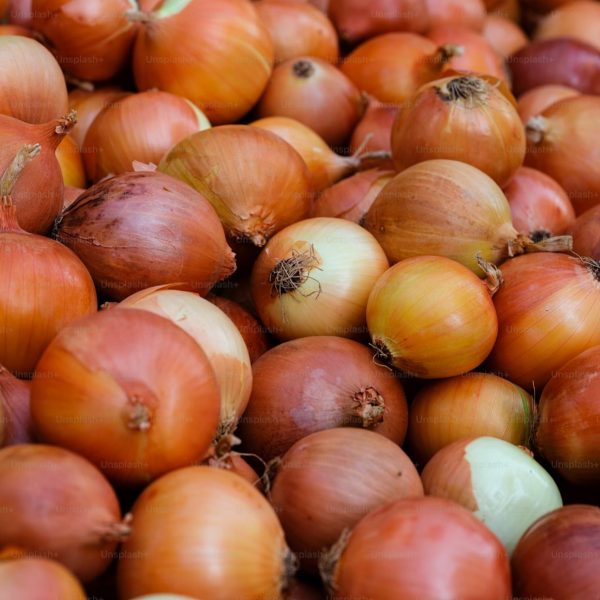 actagob-onions-closeup