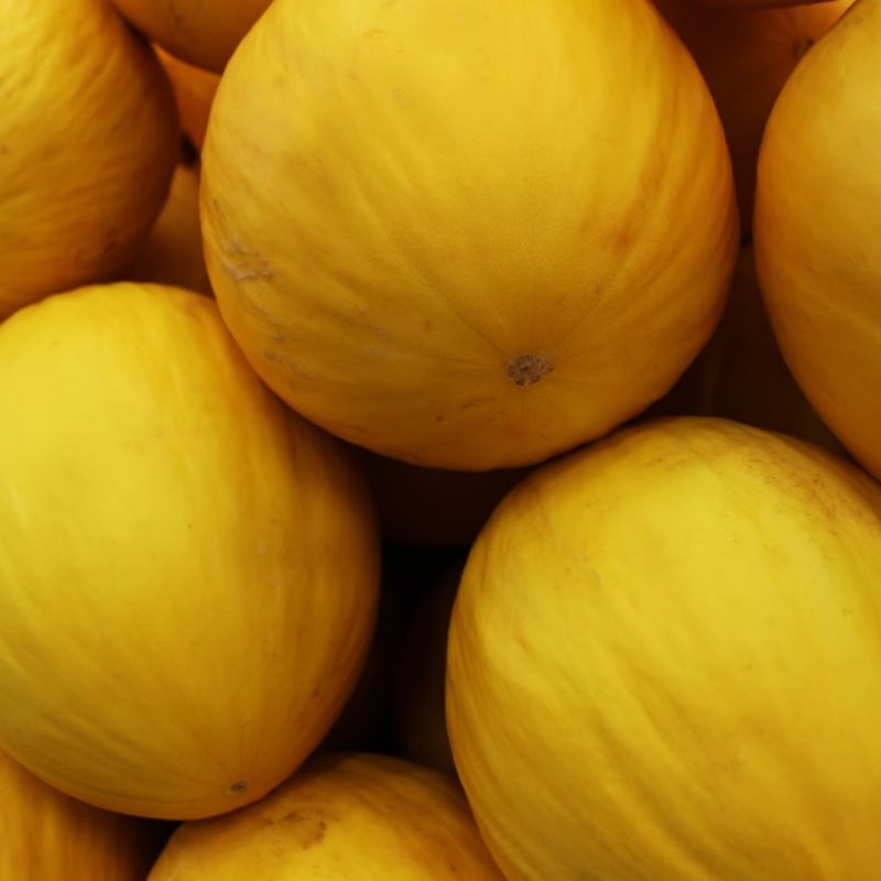 actagob-melons