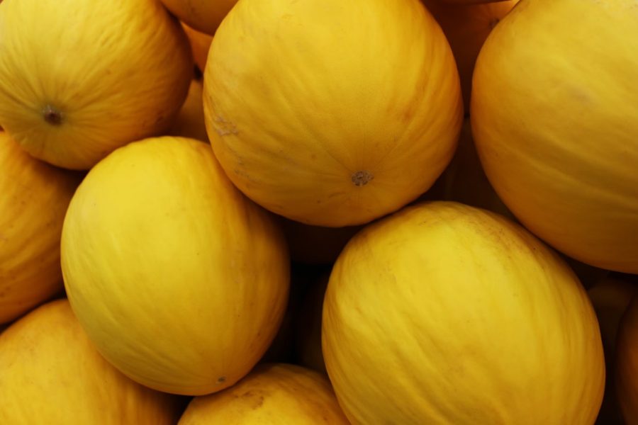 actagob-melons