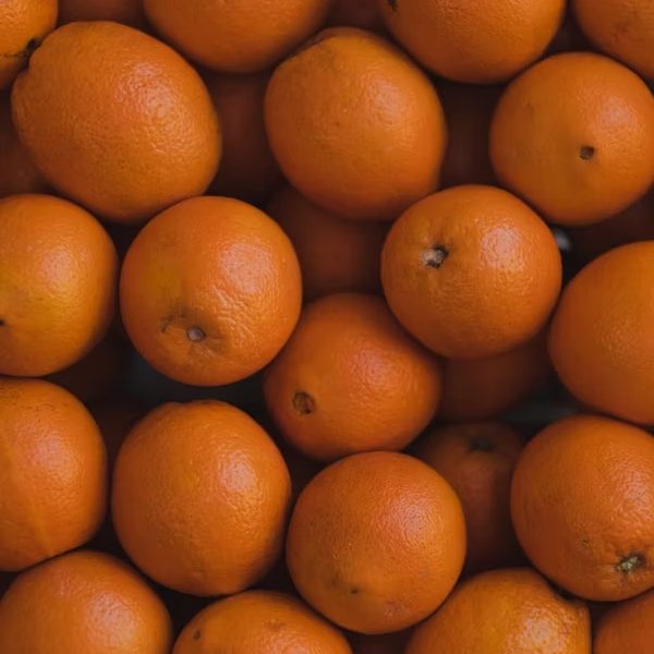 actagob-oranges-closeup