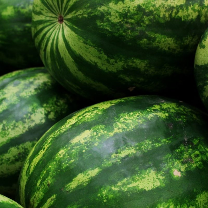 actagob-waterMelons-closeup