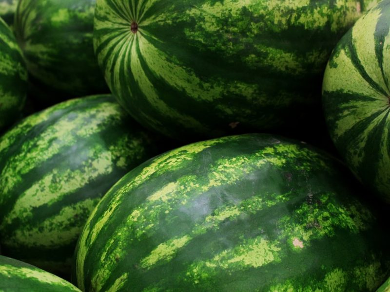pasteque-green pasteque-green