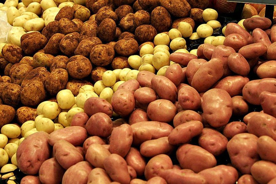potato nadi